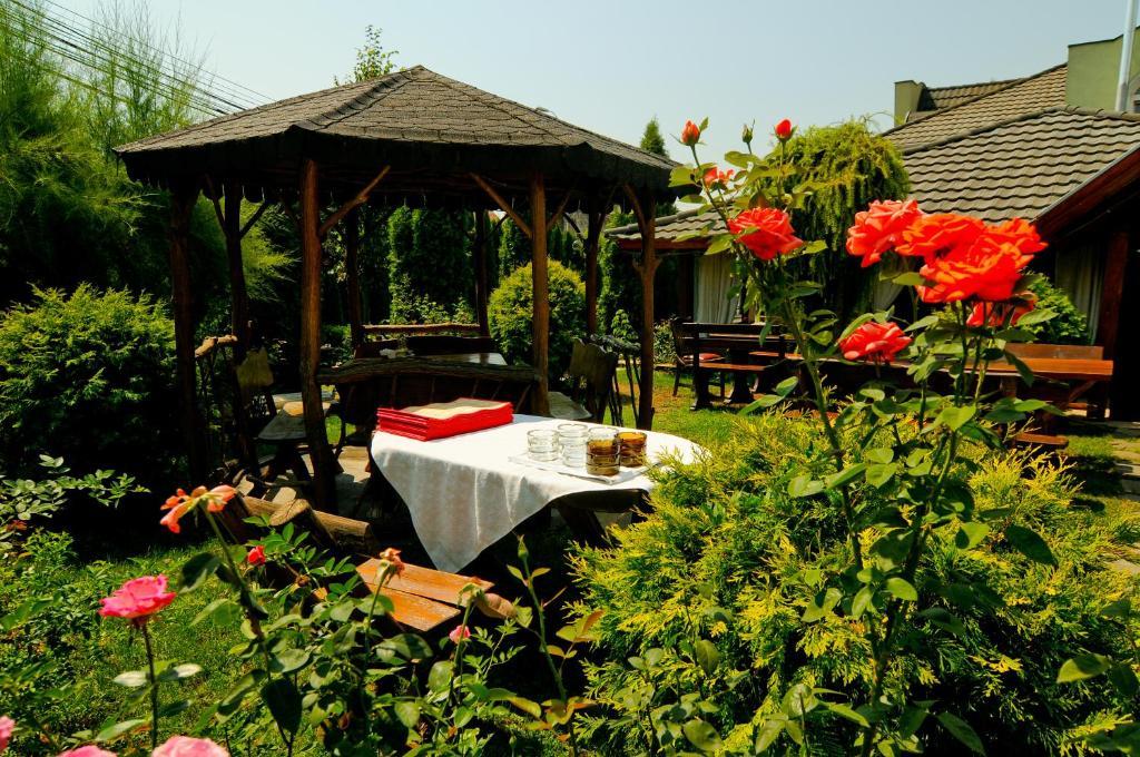Pension La Cupola Târgu-Mureş 외부 사진